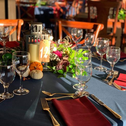 44689209_2418476818179972_3894720672370262016_o